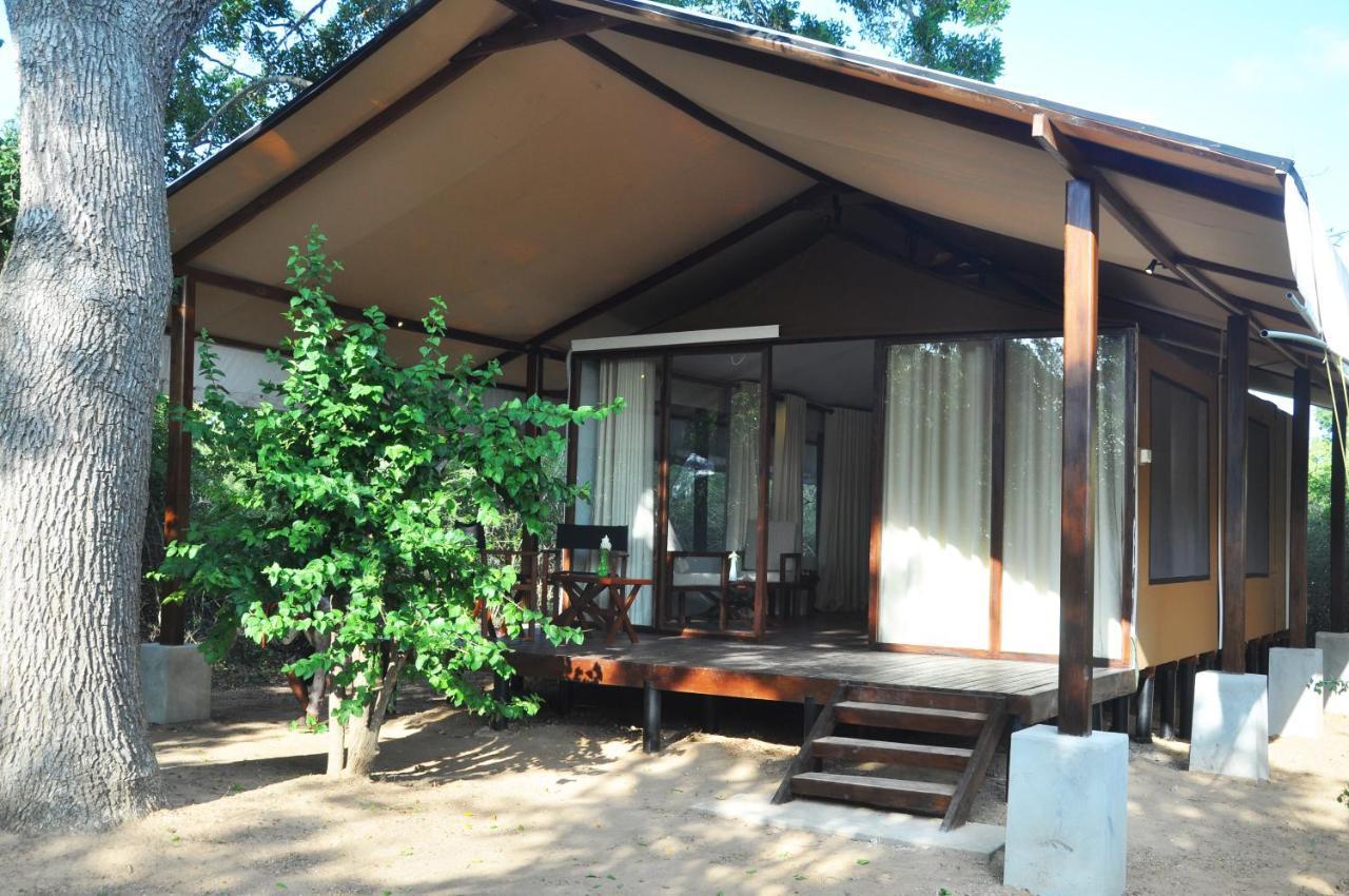 Wild Trails Yala By Suri Hotell Exteriör bild