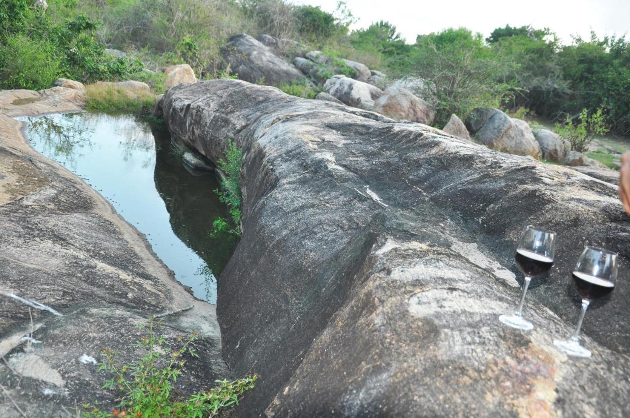 Wild Trails Yala By Suri Hotell Exteriör bild